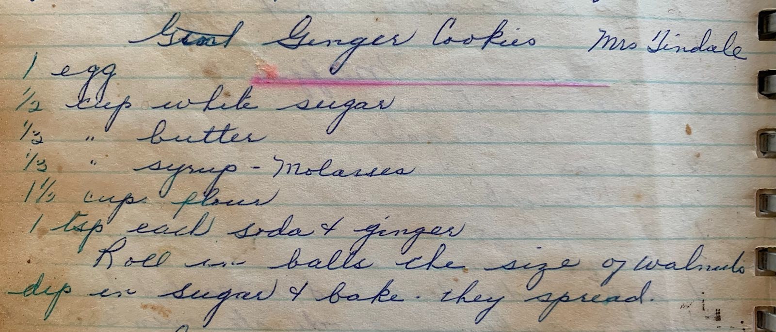 Grandma Wakely's Ginger Snap Cookies